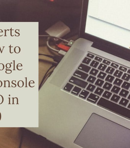 23 Experts On How to Use Google Search Console for SEO in 2019